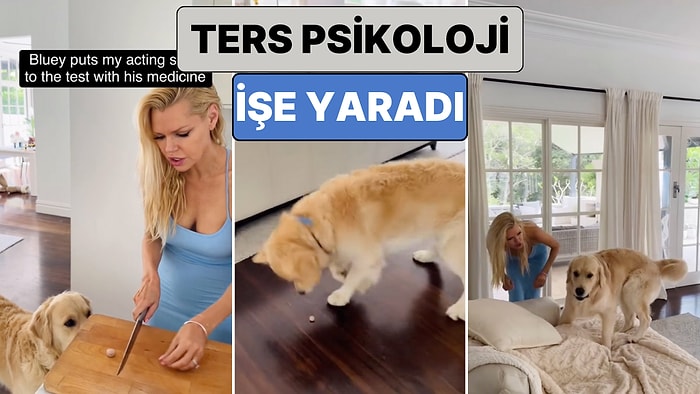 Bir Kadın İlaç İçiremediği Köpeğine Ters Psikoloji Uygulayarak İlacı Kendi İsteğiyle İçmesini Sağladı