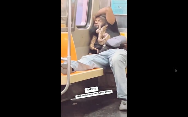 Metroya binen gorilden, yılanla uyuyan bir adama kadar birbirinden ilginç görüntülerin yer aldığı videoya "New York Metrosu şaşırtmıyor." yorumları yapıldı.