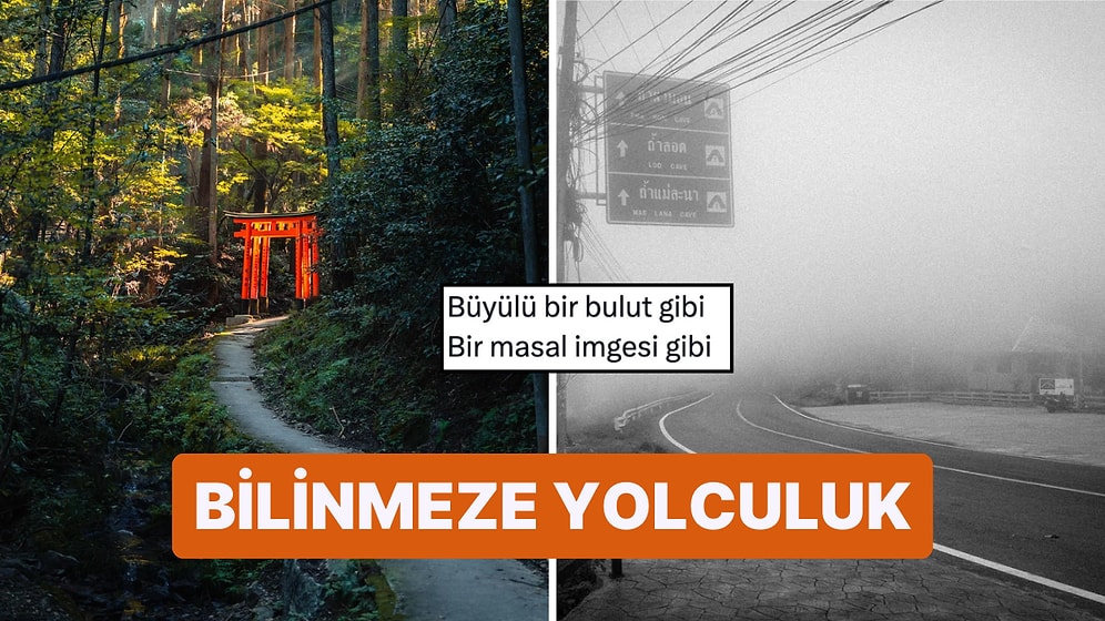 Fotoğraf Çekmek İsterken Yanlışlıkla Rönesans Tablosu Yaratan Kişilerden Muazzam Kareler