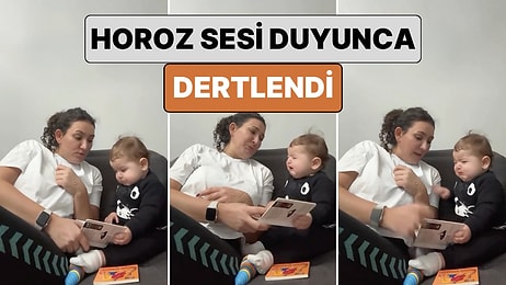 Hayvan Seslerini Öğrenirken Horoz Sesini Duyunca Dertlenen Bebeğin Sevimli Anları