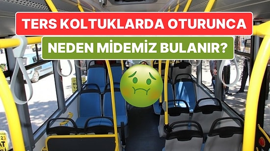 Otobüste, Trende, Vapurda Ters Oturunca Neden Hemen Midemiz Bulanır? (Bir Nedeni Varmış)