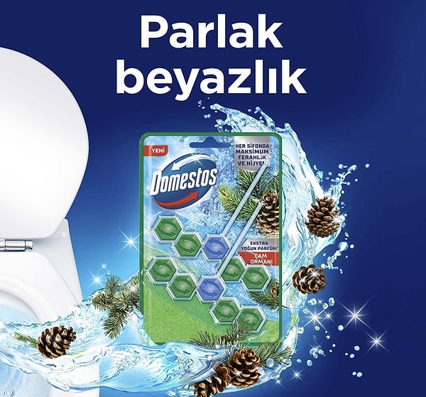 Domestos WC Blok