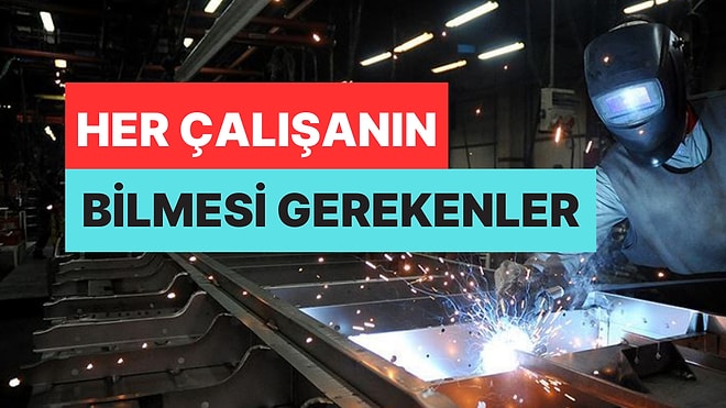 Her Çalışanın Bilmesi Gerekenler: İşçinin Alacaklarına Dair Ayrıntılı El Rehberi