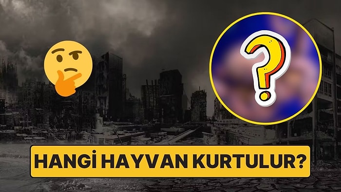 Hayır Primatlar Değil: İnsanlık Yok Olursa Dünyanın Yeni Hakimi Kim Olur?