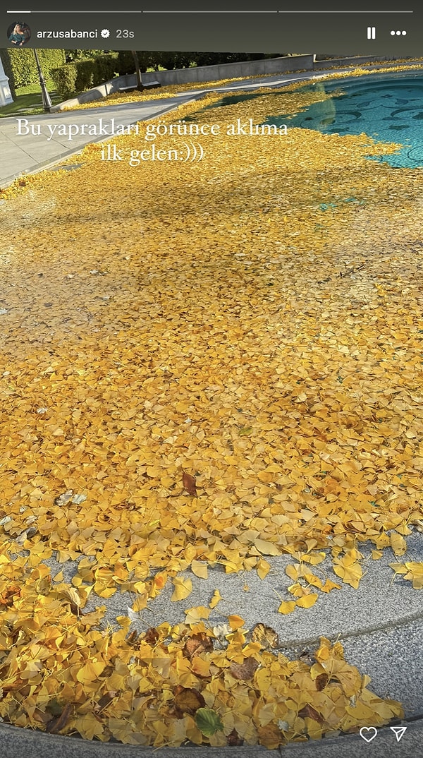 Bir havuzun üzerine dökülmüş sarı yaprakları paylaşıp "Bu yaprakları görünce aklıma ilk gelen" ifadesini kullanan Arzu Hanım,