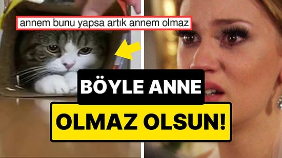 Kızının Kedisini Başka Bir Aileye Satan Anne, "Bu Ne Vicdansızlık?" Dedirtecek