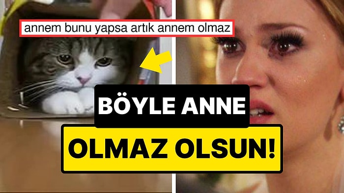 Kızının Kedisini Başka Bir Aileye Satan Anne, "Bu Ne Vicdansızlık?" Dedirtecek