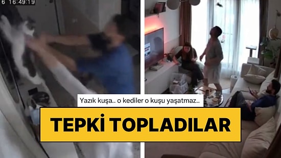 Evde İki Kedi Varken Muhabbet Kuşunu Kafesinden Çıkaran Ev Sahiplerine Tepki Yağdı