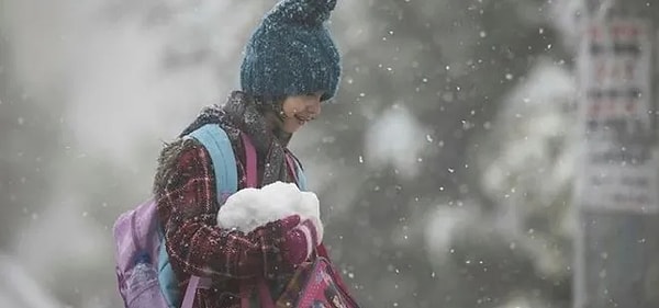 Bingöl'de tedbir amaçlı Adaklı, Genç, Kiğı ve Yedisu ilçelerindeki tüm okullar tatil edildi. Kent merkezi ile Solhan ilçesinde ise taşımalı eğitime 1 gün ara verildi. Erzincan'da da eğitime 1 gün ara verildi.