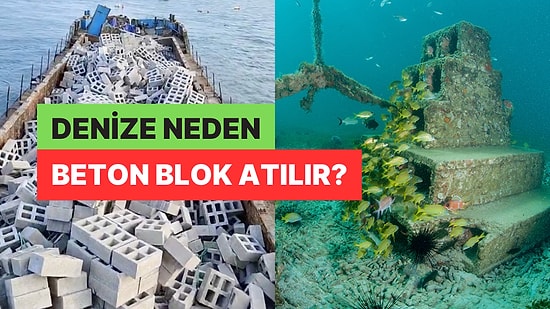 Denize Atılan Beton Blokların Bir Sebebi Var: Çevreyi Kirletmek İçin Değil Aslında Her Şey Balıklar İçinmiş