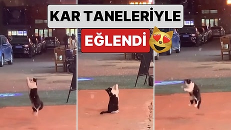 Karın Tadını Yine En Çok Minikler Çıkarttı: Yağan Karla Eğlenen Kedinin O Anları İçinizi Isıtacak