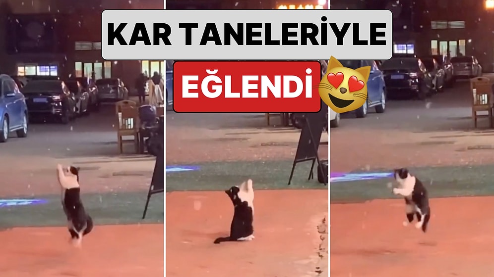 Karın Tadını Yine En Çok Minikler Çıkarttı: Yağan Karla Eğlenen Kedinin O Anları İçinizi Isıtacak