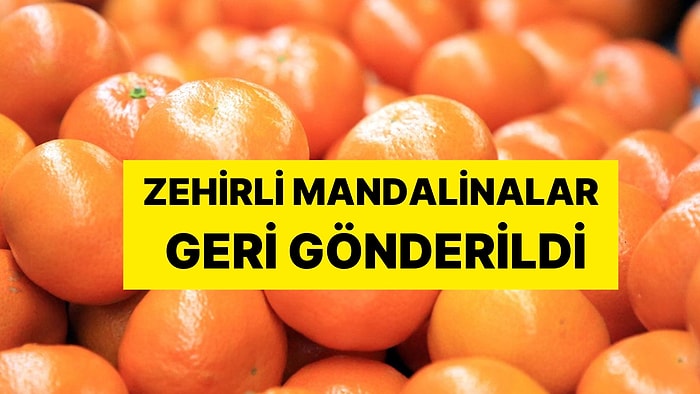 Geri Gönderilen Zehirli Mandalinalara Ne Oldu? Bakan Yumaklı Son Durumu Açıkladı