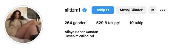 Takipçileriyle dalga geçer gibi hamlelerde bulunan fenomen Bahar Candan bir de biyografisine "Hesabım çalındı" notunu düştü.