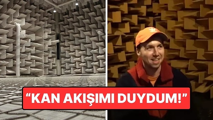 Dünyanın En Sessiz Odasında 1 Saatten Fazla Kalan YouTuber'ın Şaşırtıcı Deneyimi