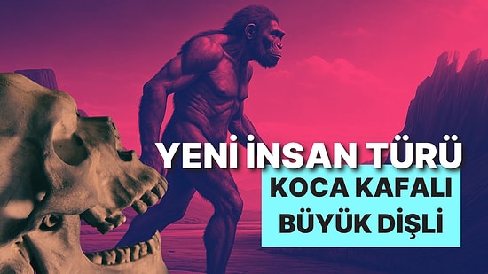 Yeni Bir İnsan Türü Keşfedilmiş Olabilir: Koca Kafalı, Büyük Dişli