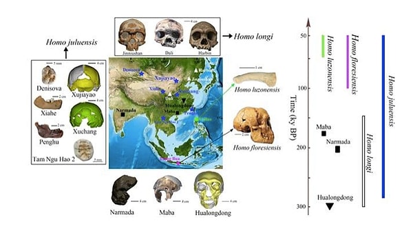 Yeni insan türüne ‘Homo Juluensis’ adı verildi.