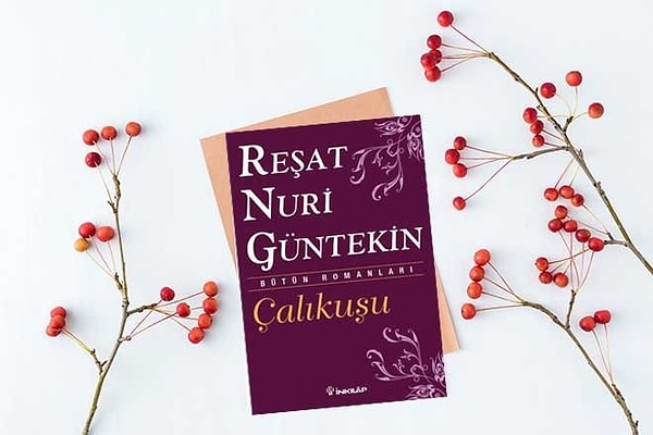 6. Aşağıdakilerden hangisi Çalıkuşu adlı romanın ana karakteridir?