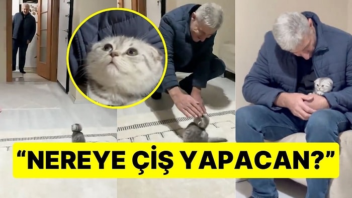 Evin Babasının Minik Kediyle Tanışma Anı İçinizi Isıtacak: "Nereye Çiş Yapacan?"