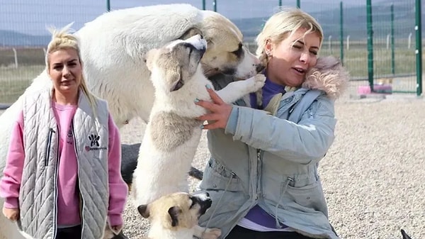 Aralarında dernek başkanı Buket Özgünlü ile eniştesi ve ablasının da olduğu 8 şüpheli, bugün sağlık kontrolünün ardından adliyeye getirildi.