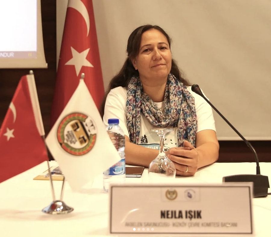 Nejla Işık Kimdir, Akbelen'de Ne Yaptı, Mesleği Ne - Onedio