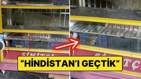 Ankara’da Seyyar Simit Tezgahındaki Fareyi Gören Vatandaş: "Hindistan’ı Geçmiş Durumdayız"