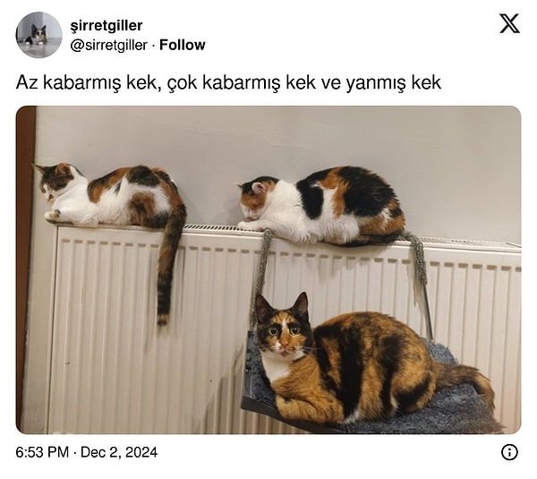 Şaşkın kek