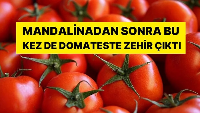 Mandalinadan Sonra Bu Kez de Domateste Çıktı: İthal Edilen Domateslerde Zehir Bulundu