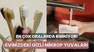 En Çok Oralarda Birikiyor! Evinizdeki Gizli Mikrop Yuvaları