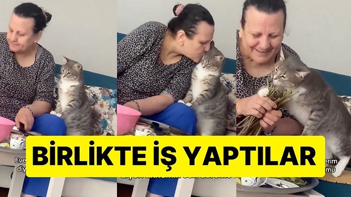 "Eve Kedi Girerse Ben Giderim" Diyen Annenin Dostluğu İçinizi Isıtacak