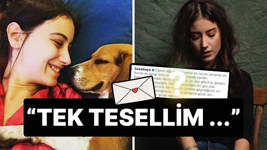 Can Dostunu Kaybetti: Hazal Kaya'dan 10 Yıllık Köpeği Sherlock'a Tüyleri Diken Diken Eden Veda!