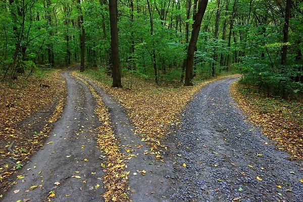 8. Bir süre sonra, bir yol ayrımına geliyorsun. Hangi yolu seçiyorsun?