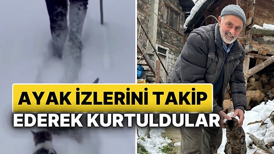 Artvin’de Kedilerin Ayak İzlerini Takip Ederek Kurtuluşu: Ahmet Amca’nın Fedakarlığı Kalpleri Isıttı