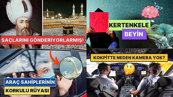 Sohbetlerin Aranan İsmi Olacaksınız: Arkadaş Ortamında Satabileceğiniz 15 Şaşırtıcı Bilgi
