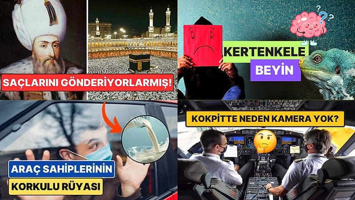 Sohbetlerin Aranan İsmi Olacaksınız: Arkadaş Ortamında Satabileceğiniz 15 Şaşırtıcı Bilgi