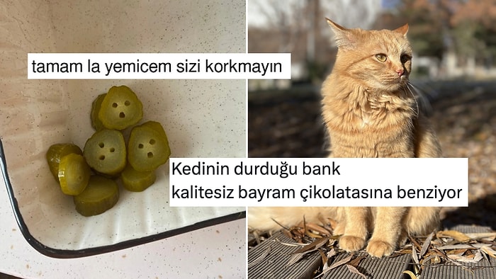 Yemeklerle İlgili Paylaşımlarıyla Hepimizi Mizaha Doyuran Kişilerden Haftanın En Komik Yemek Tweetleri