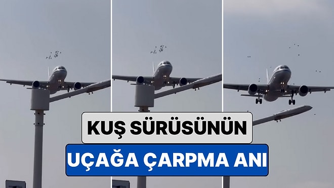 Daha Önce Bir Kuş Sürüsünün Uçağa Çarpma Anını Görmüş müydünüz?