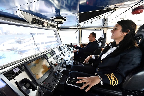 Bu yüzden gemi manevra yaparken ve diğer gemilerle karşılaştığında kaptanın bu bölgedeki trafiği sürekli izleyebilmesi önemlidir.