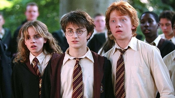 Casting for HBO's Harry Potter series is still underway, but the suggested actors have sparked mixed reactions.