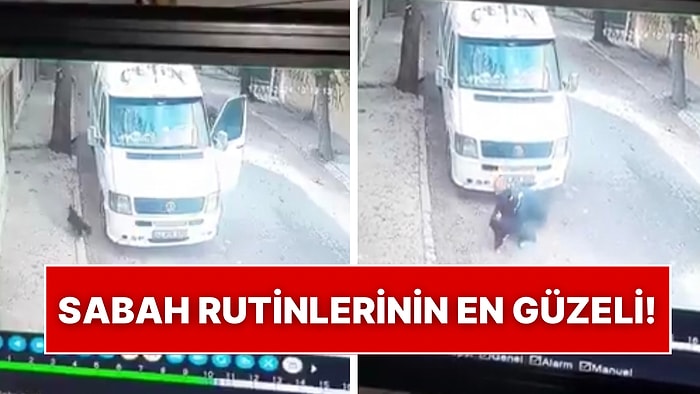 Her Sabah İşe Başlamadan Önce Mahallenin Kedisi Kara ile Sarılan Minibüs Şoförü Tebessüm Ettirdi