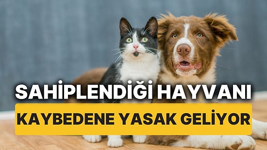 Hayvan Sahiplenme Kuralları Değişti! Sahiplendiği Hayvanı Kaybedene 3 Yıl Yasak Geliyor!