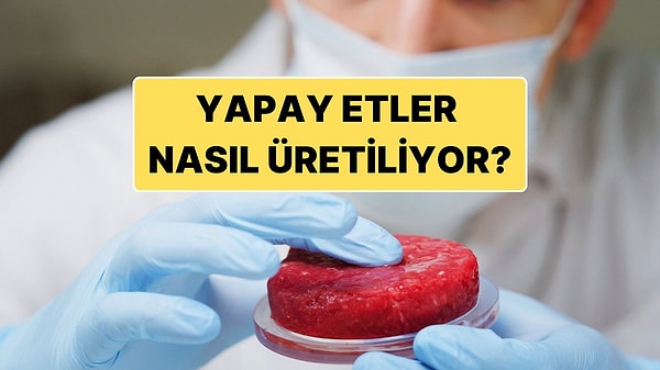 10. Yapay Etin Nasıl Üretildiğini Biliyor muydunuz? Adım Adım Anlattık!