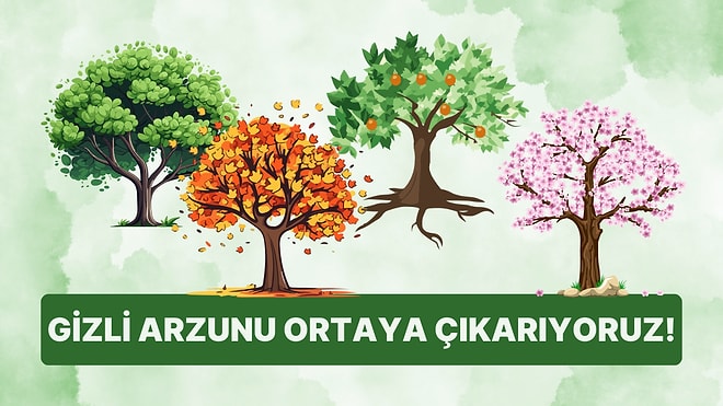 Bir Ağaç Seç, Gizli Arzunu Ortaya Çıkaralım!