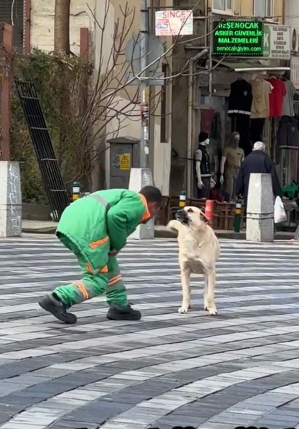 Tatlı köpeği gören belediye işçisi yanına giderek önce şapkasıyla oynatmış, köpeğin de mutlu olduğunu görünce oynamaya devam etmişti.