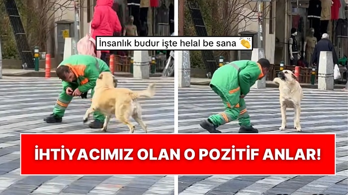 Bursa’dan Kalpleri Isıtan Görüntüler: Belediye İşçisinin Sokak Köpeğiyle Oynadığı Anlar Tebessüm Ettirdi