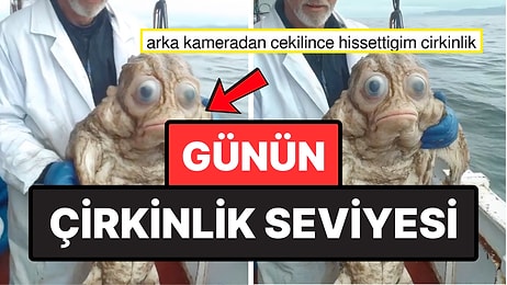 Yapay Zekayla Üretilen İnsan Yüzlü Balık Goygoycuların Dilinden Kurtulamadı