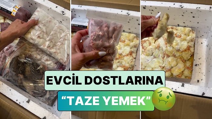 Evinde Beslediği Vahşi Kediler İçin 'Taze Yiyecekler' Sipariş Eden Kadının Akıl Tutulması Yaşatan Kargosu