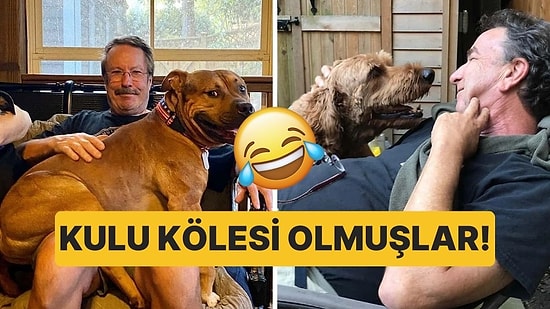 "O Gelirse Ben Giderim" Dedikten Sonra Evcil Hayvanlarının Kulu Kölesi Olan Ebeveynler