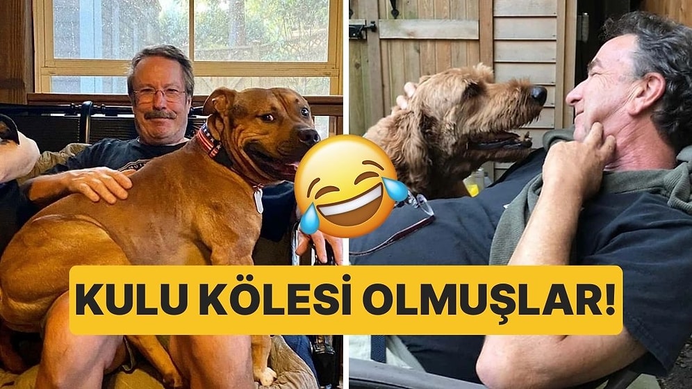 "O Gelirse Ben Giderim" Dedikten Sonra Evcil Hayvanlarının Kulu Kölesi Olan Ebeveynler