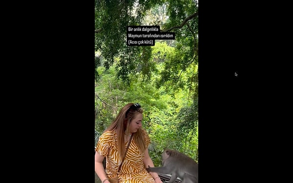 Bali'yi ziyaret eden bir Türk, maymunlardan biriyle fotoğraf çekilmek istedi.